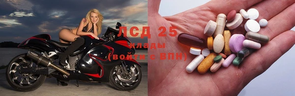 индика Тутаев