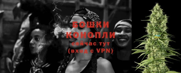 индика Тутаев