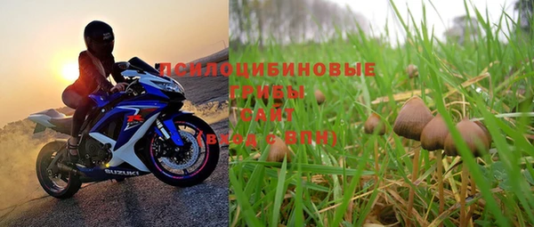 синтетический гашиш Туринск