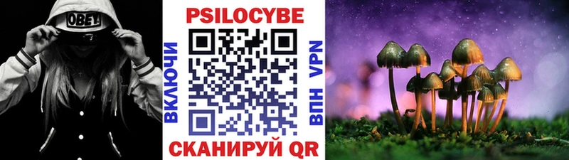 Купить закладки  Чухлома  Галлюциногенные грибы GOLDEN TEACHER 