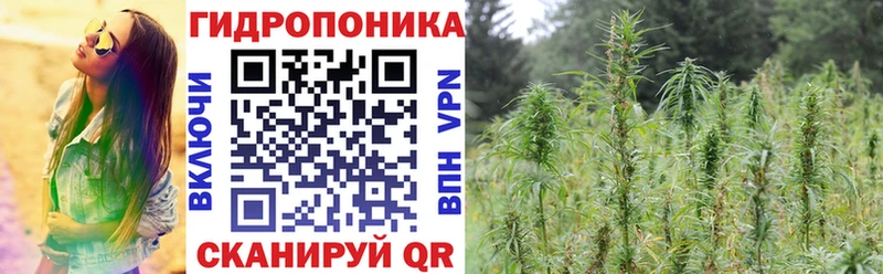 Купить где  Чухлома  Каннабис гибрид 